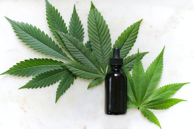 Backlinks for CBD and Medical Marijuana